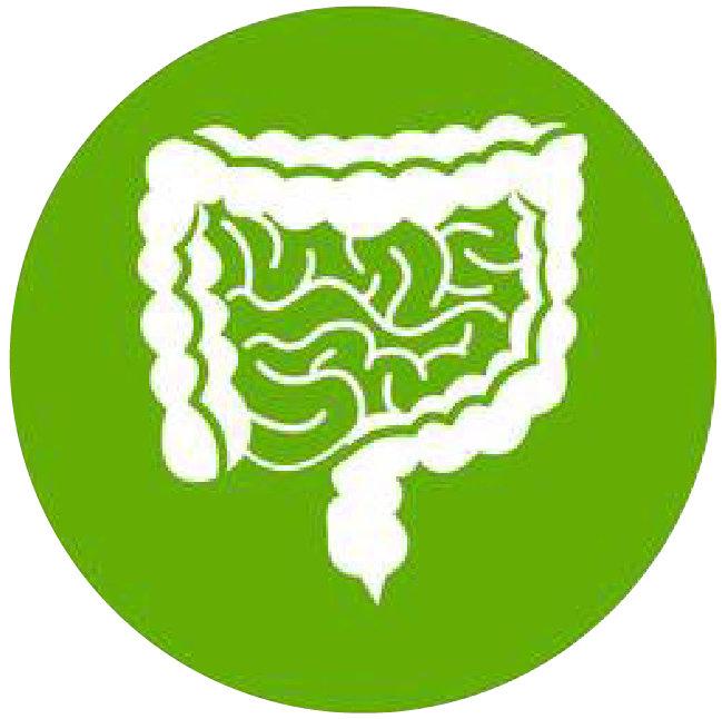 關注職場“腸”態，守護員工健康——上海格瑞特特邀消化內科專家公益系列講座（4）(圖1)